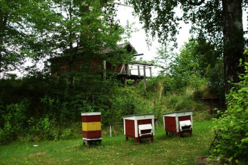 120-04.08. Skara-Fornbyn-Bienenkaesten